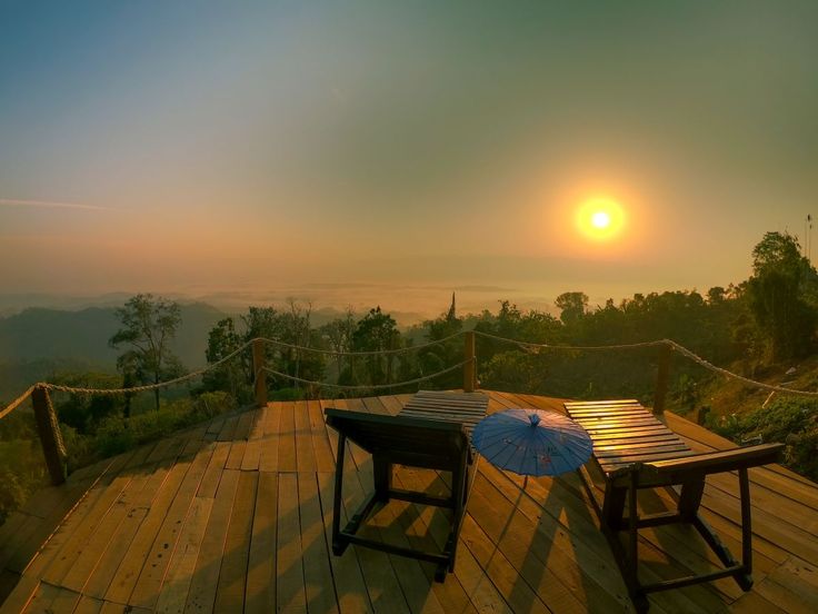 Kodaikanal Pine Forest